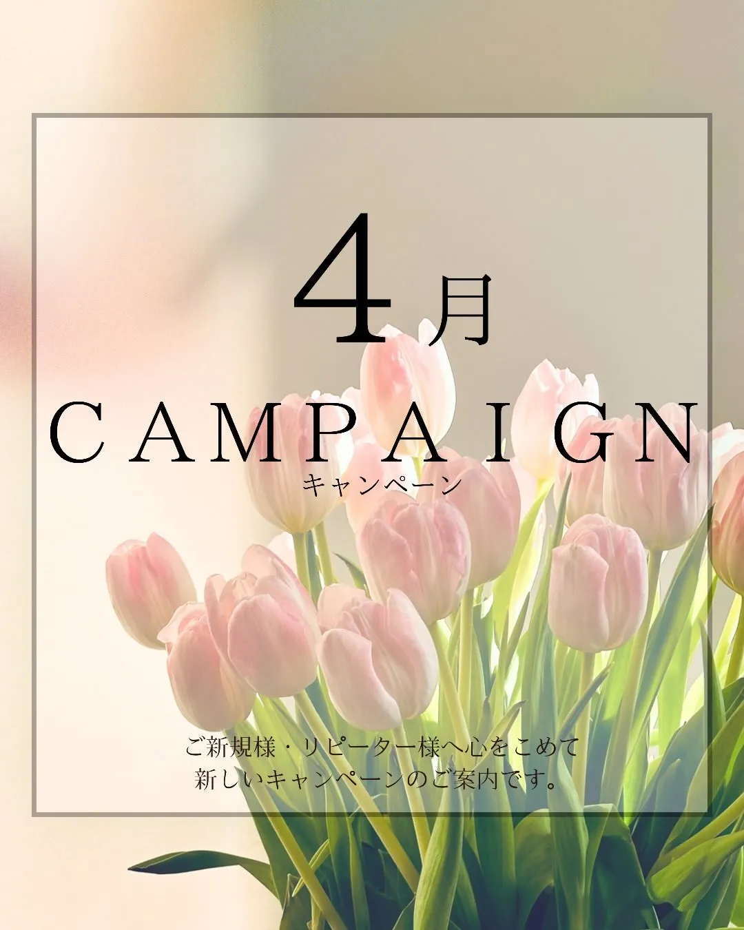 🌸4月限定キャンペーンスタート🌸