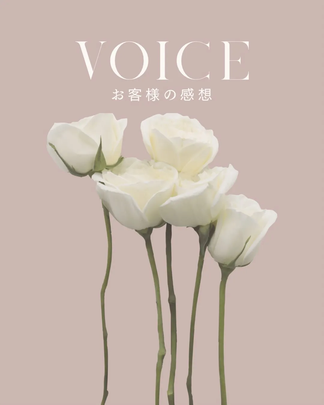 気になっているけど、なかなか踏み出せないVIO脱毛🌿