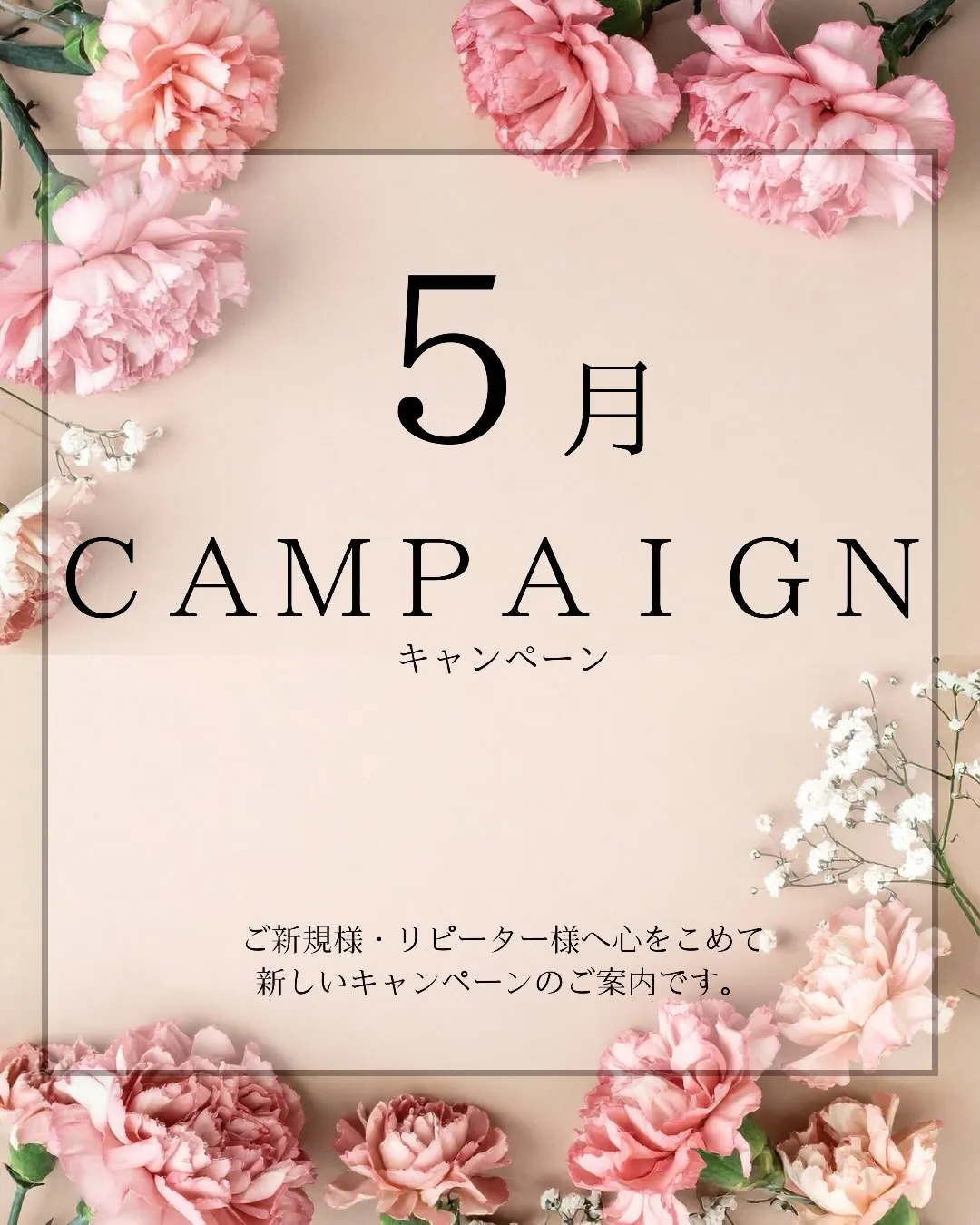 5月限定キャンペーンスタート🌿